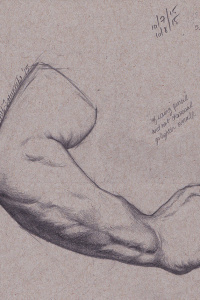 Bargue_study